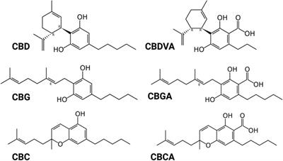 Beyond CBD Inhibitory effects of lesser studied Frontiers